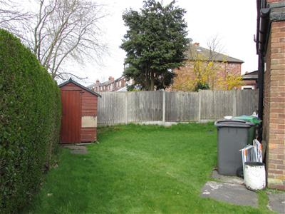 Picture 14